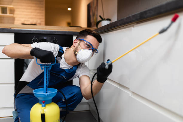 Best Affordable Pest Control Services  in East Ridge, TN