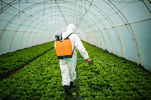 Best Local Pest Control Services  in East Ridge, TN