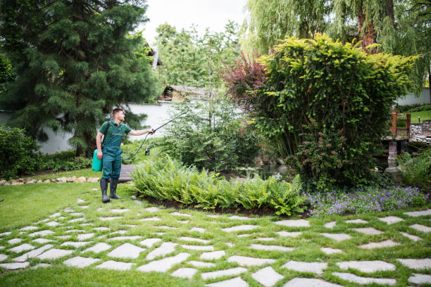Best Ant Control Services  in East Ridge, TN