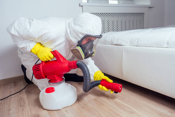 Best Pest Prevention Services  in East Ridge, TN