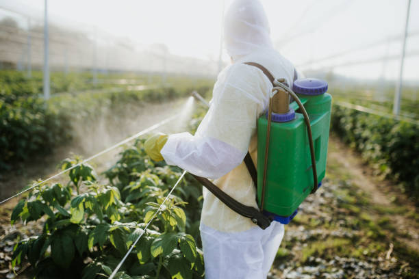 Best Pest Removal Services  in East Ridge, TN